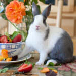 Bunny with orange flowers