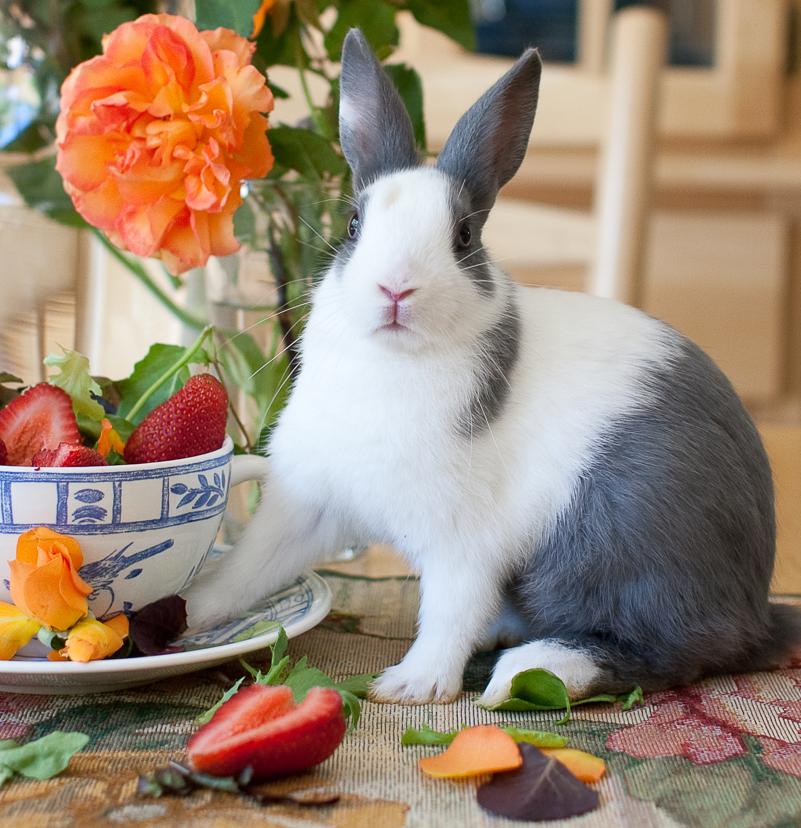 Bunny with orange flowers
