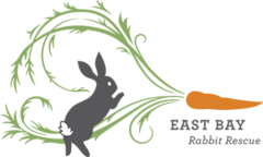 East Bay Rabbit Rescue Logo